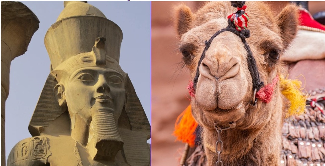 Egipto y Jordania – Medio Oriente Fabuloso