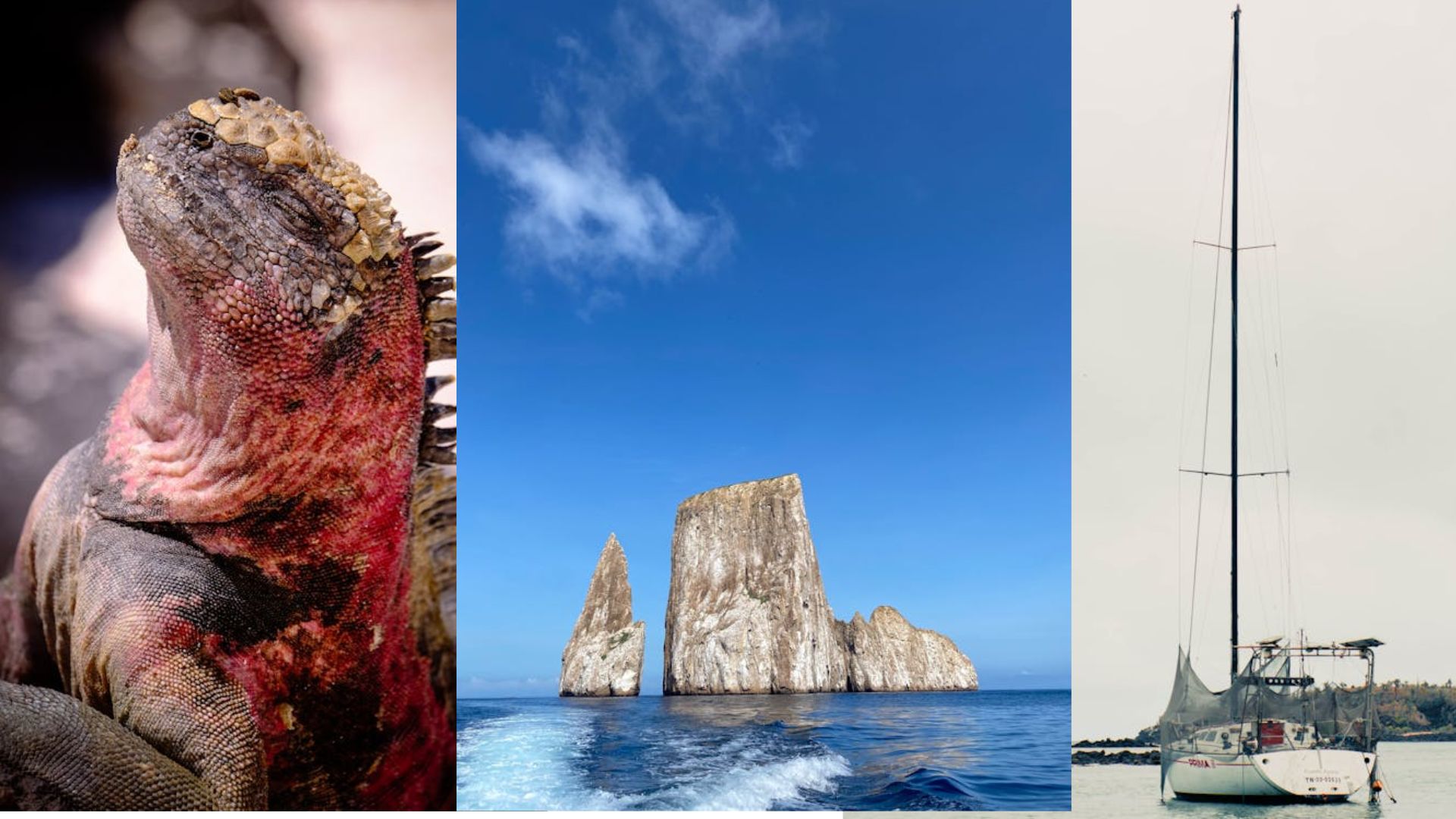 Galapagos hotel & Yate