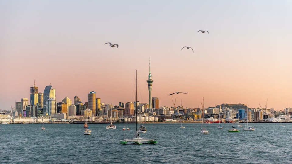 Nueva Zelanda Express