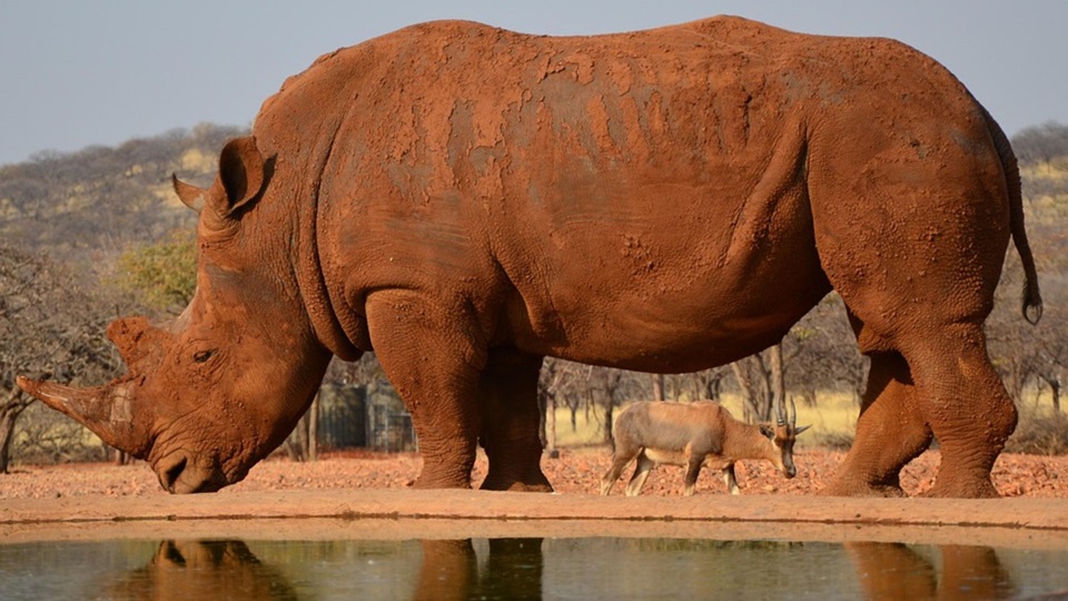 Namibia Espectacular