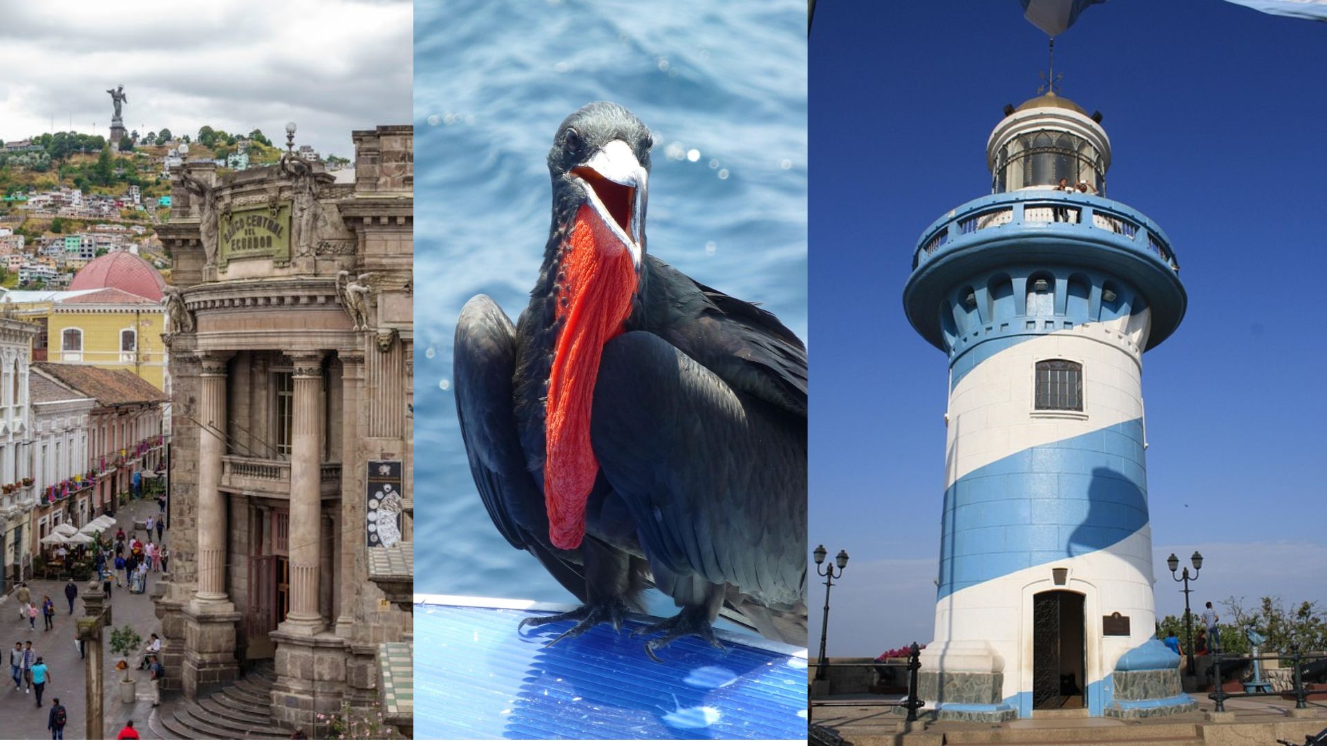 Quito- Galápagos & Guayaquil