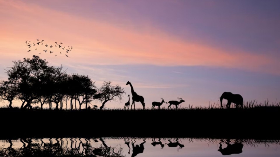 Maravillas de Suráfrica con Cataratas Victoria