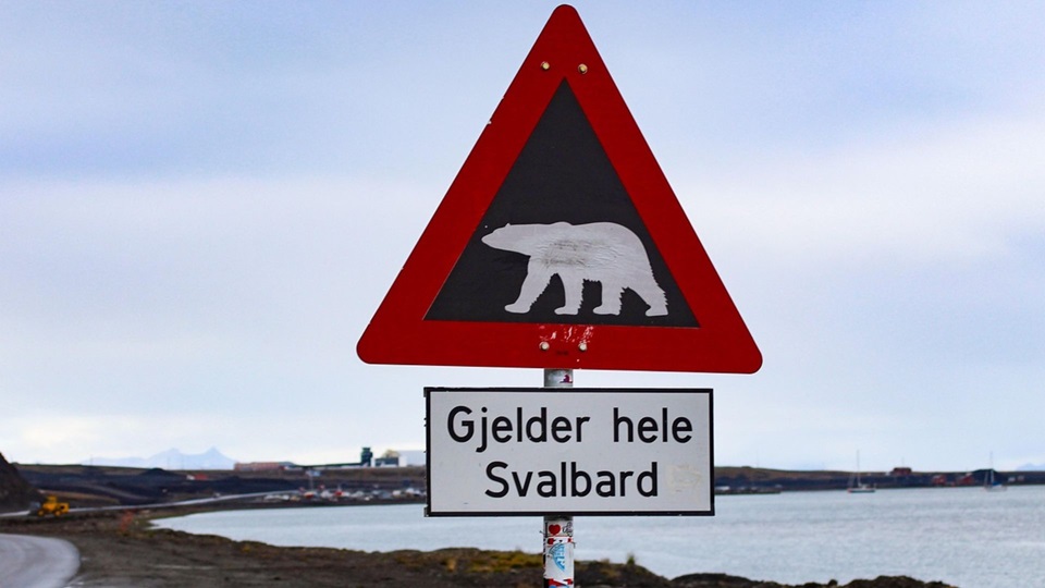 La ruta del Circulo Polar Ártico