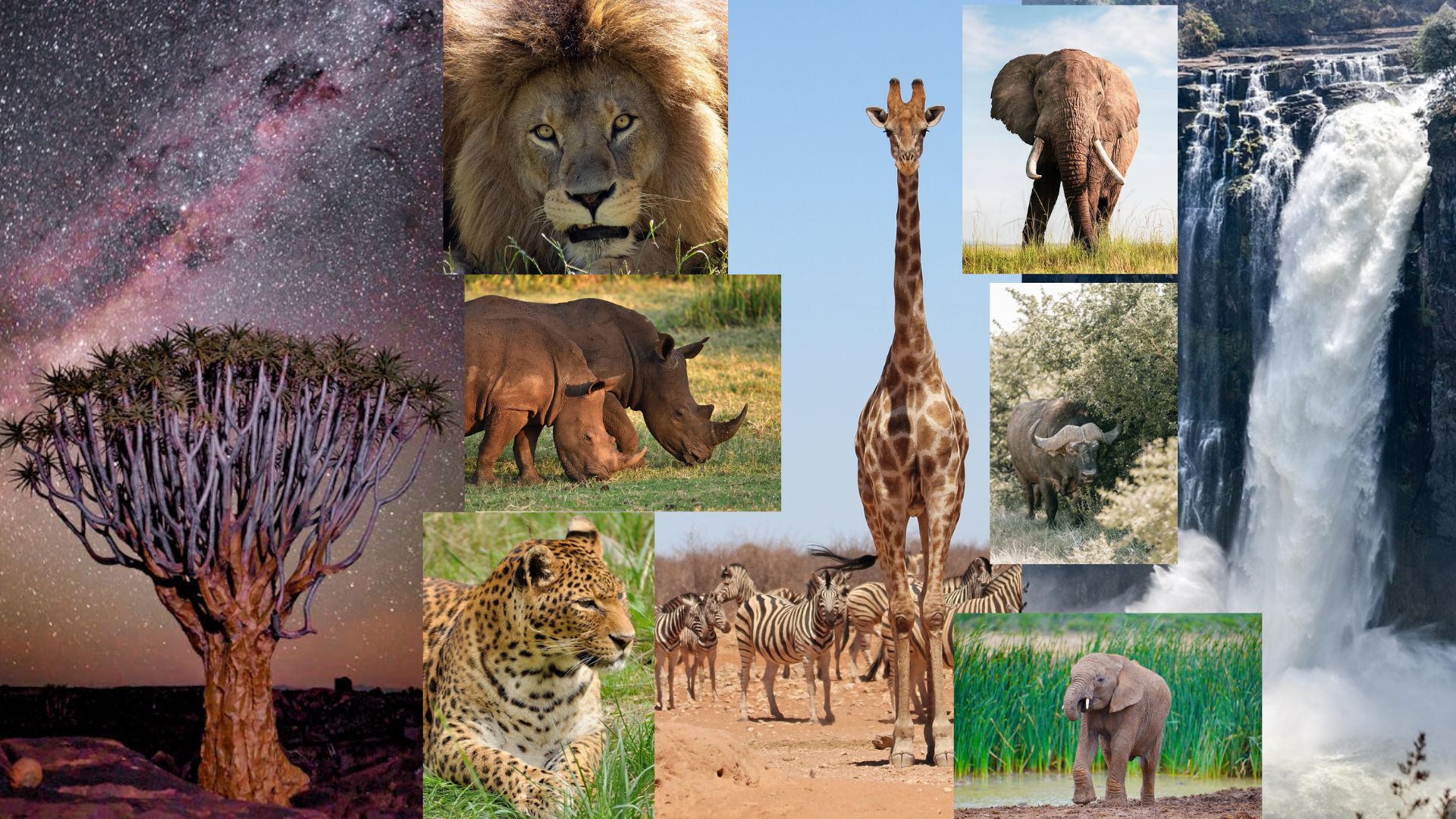 Gran Ruta de África Central 2026                   *Namibia – Botswana y Zimbawe*