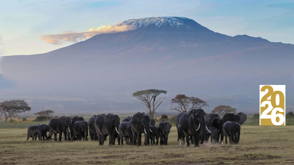 Kenia y la ruta Massai 2026