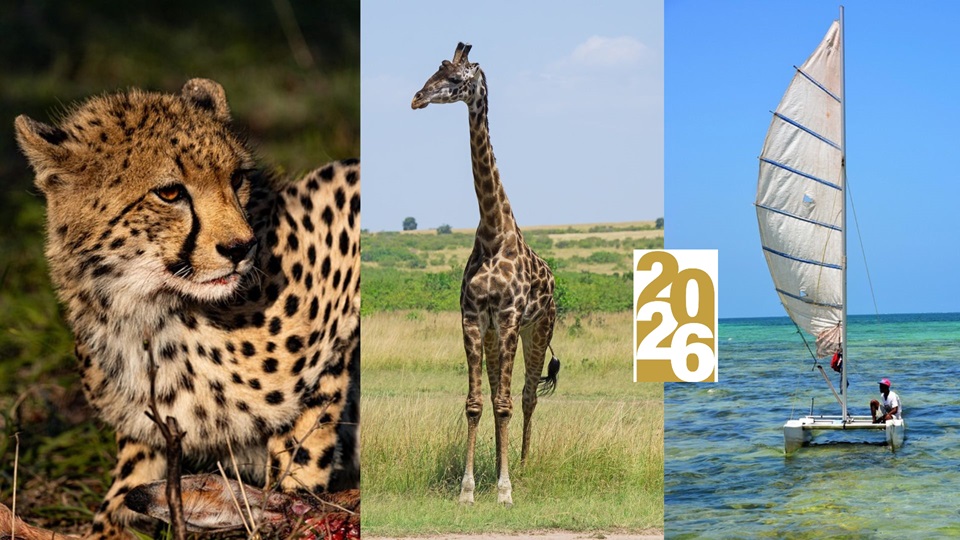 Kenia y Tanzania naturaleza salvaje 2026