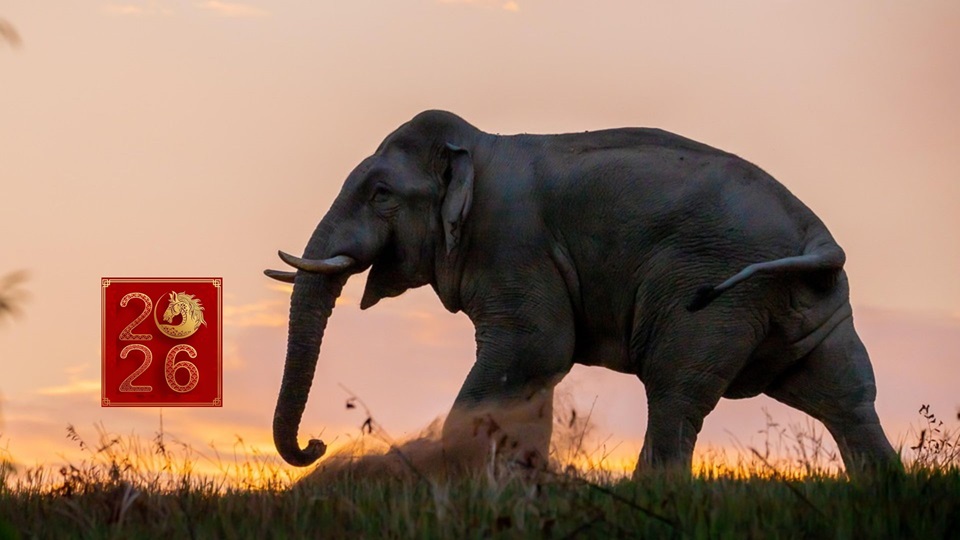 Thailandia al completo 2026