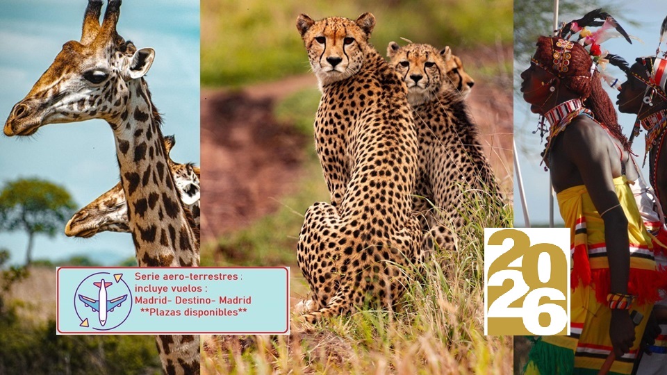 Expedición de lujo a Kenia y Tanzania con aéreos desde Madrid 2026