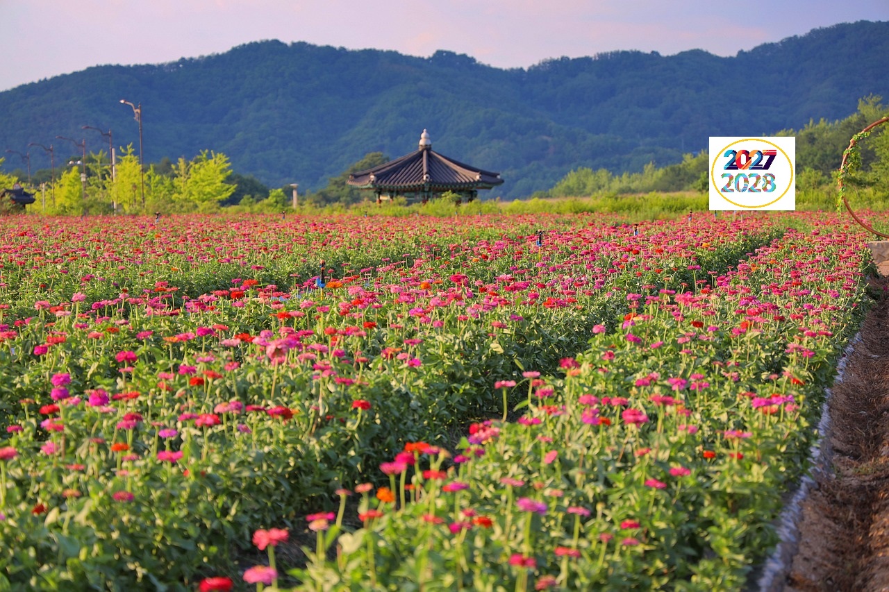 Colores de Corea 2027