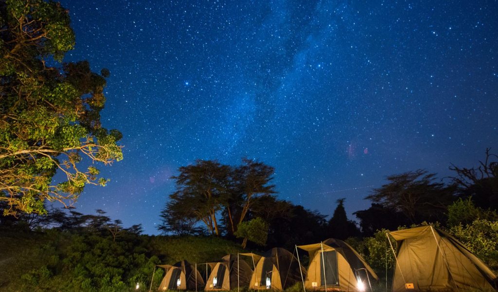 Estrellas de Kenia y tanzania4