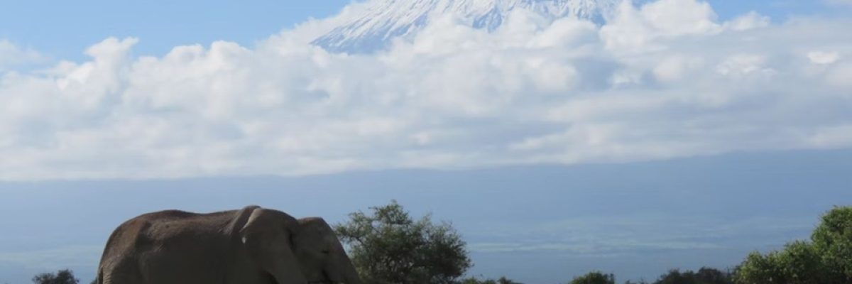 Kilimanjaro
