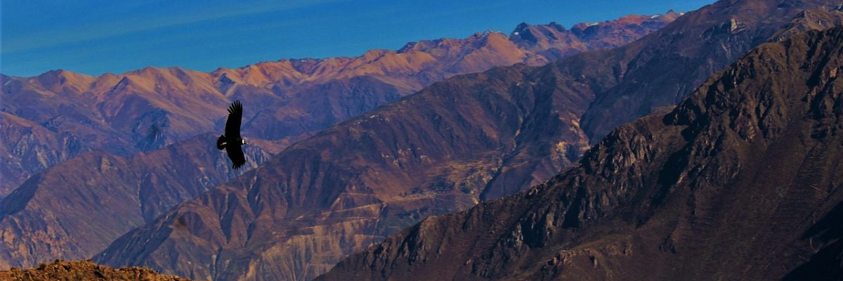 Colca