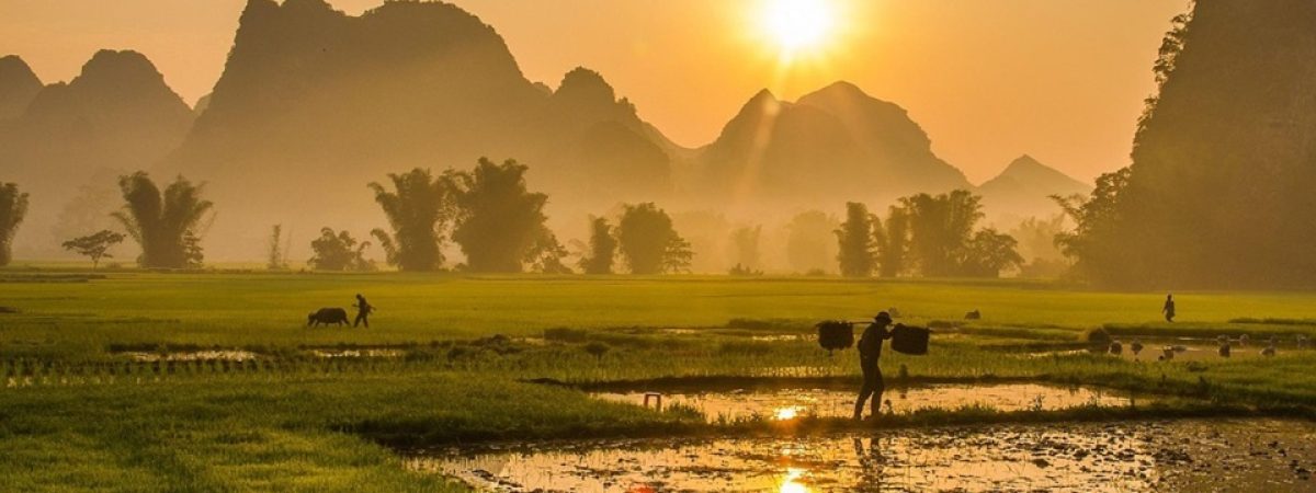 Vietnam4