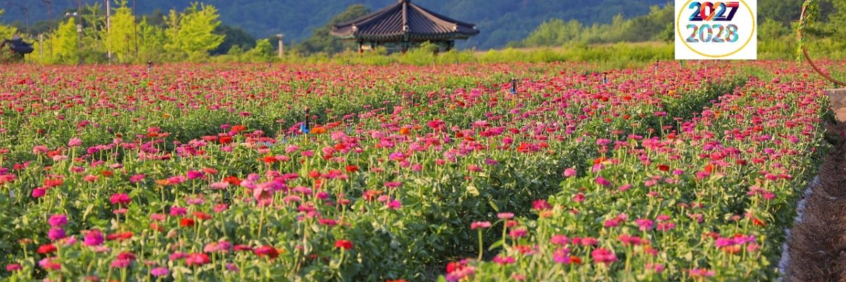 korea22
